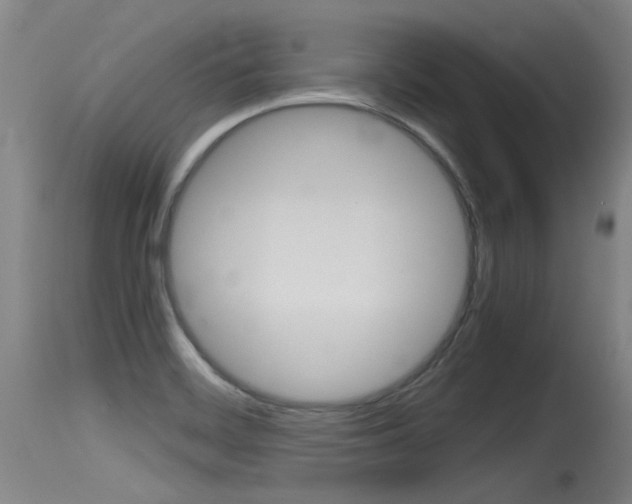 X0000115761468200911130948