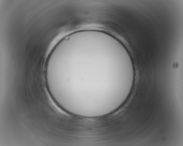 X0000115761470200911130948