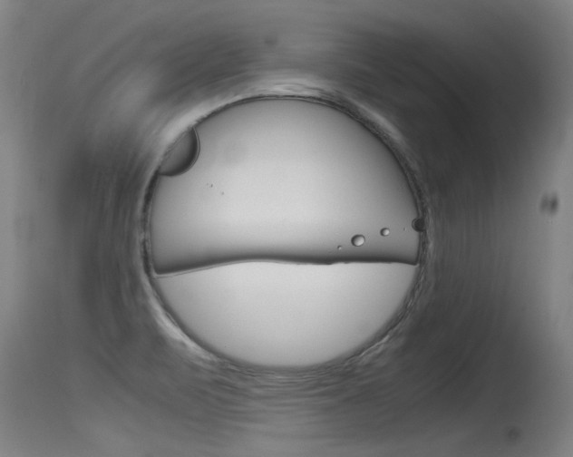 X0000115761471200911130948