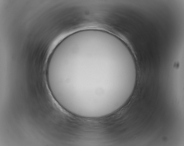 X0000115761472200911130948