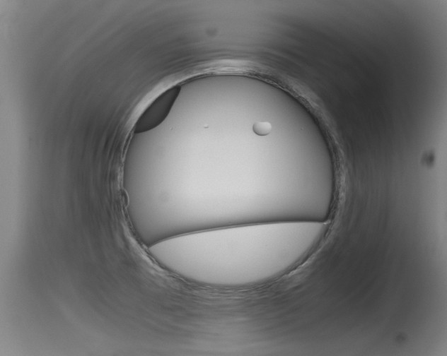 X0000115761473200911130948
