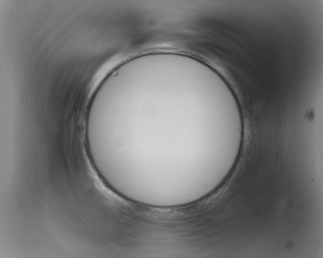 X0000115761474200911130948