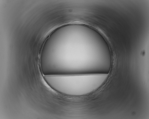 X0000115761476200911130948