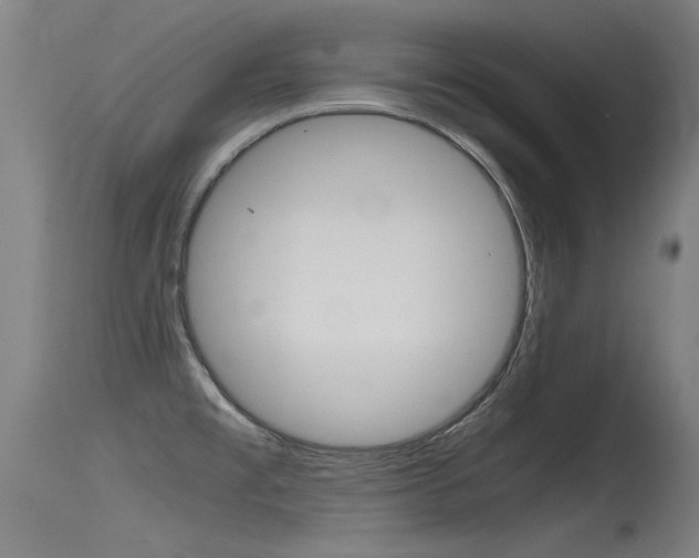X0000115761477200911130948