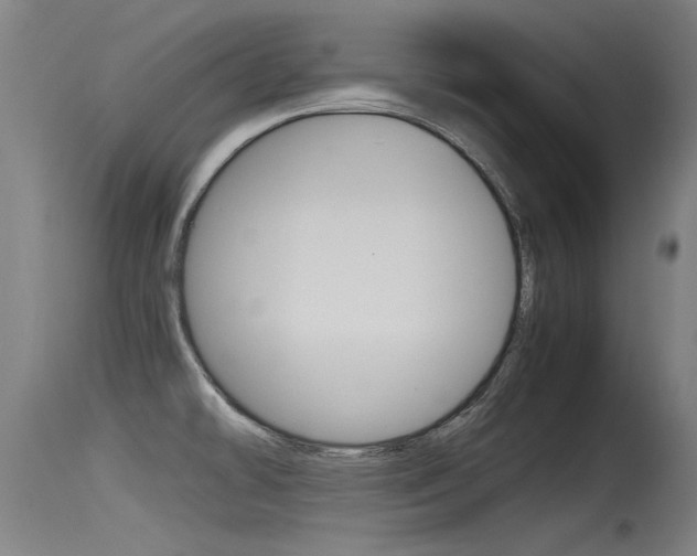 X0000115761478200911130948
