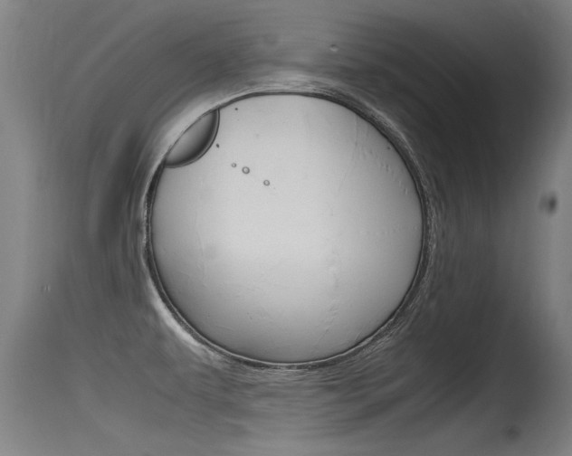 X0000115761479200911130948