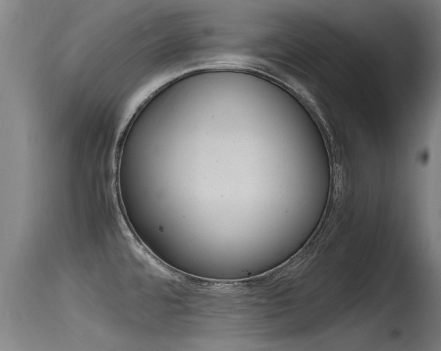 X0000115761480200911130948