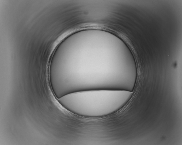 X0000115761482200911130948