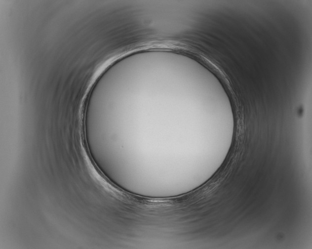 X0000115761483200911130948