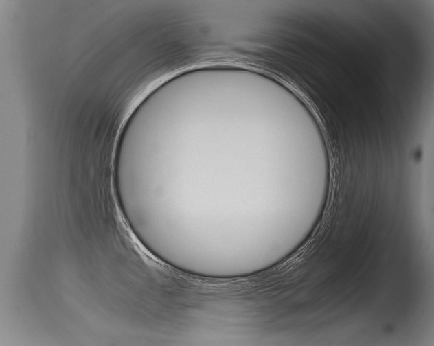 X0000115761485200911130948