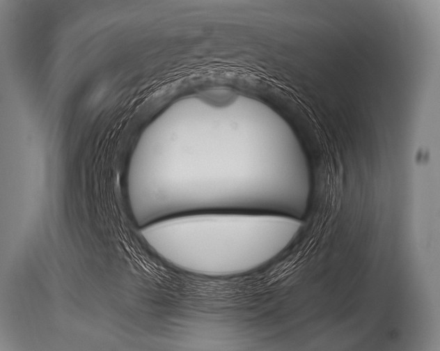 X0000115761489200911130947