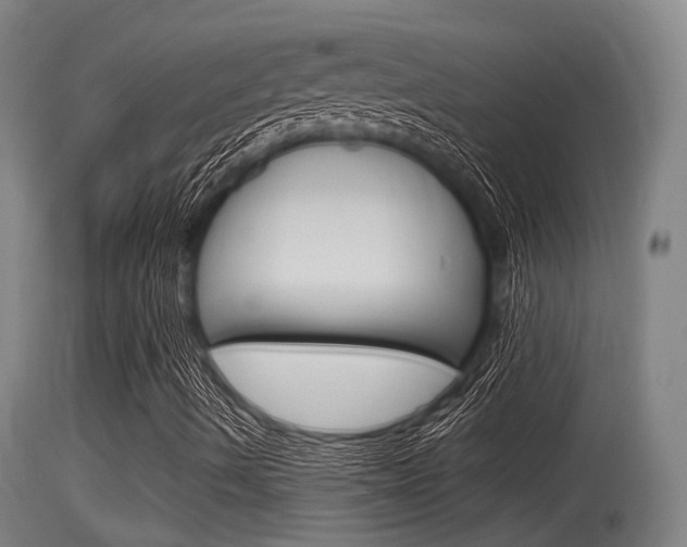 X0000115761490200911130947