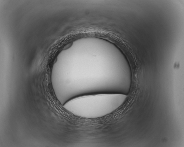 X0000115761493200911130947
