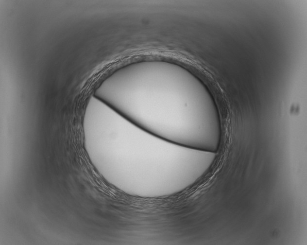 X0000115761494200911130947