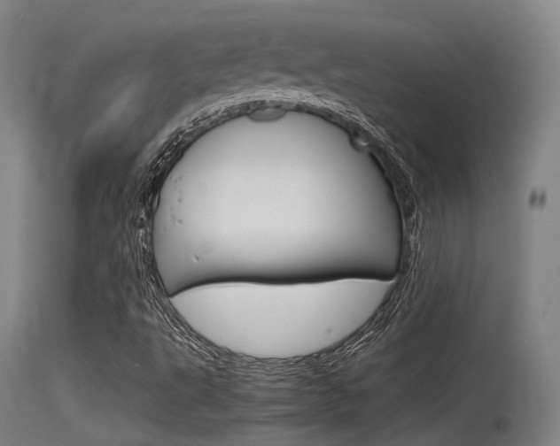 X0000115761495200911130947