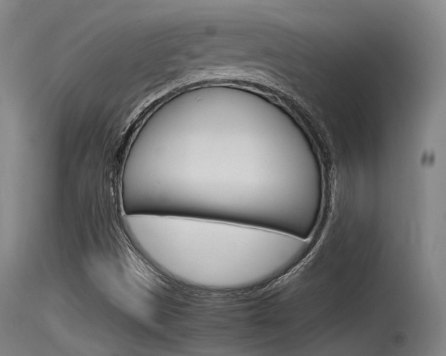 X0000115761497200911130947