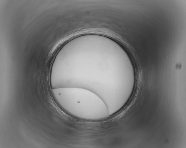 X0000115761498200911130947