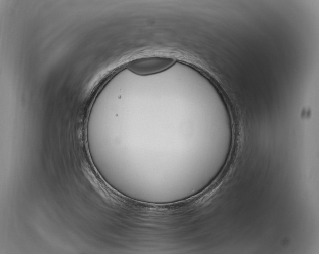 X0000115761499200911130947