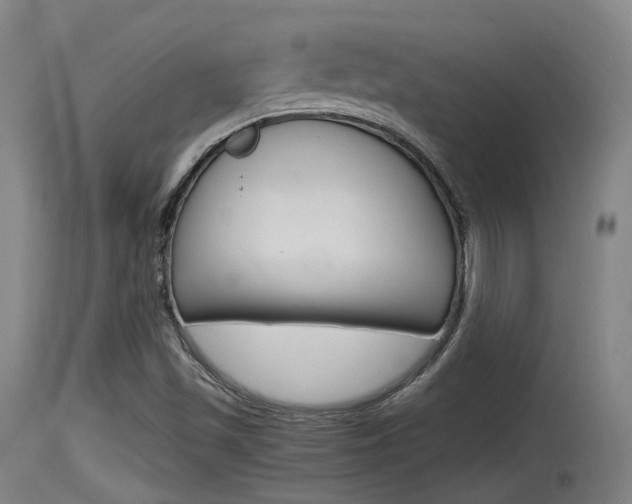 X0000115761501200911130947