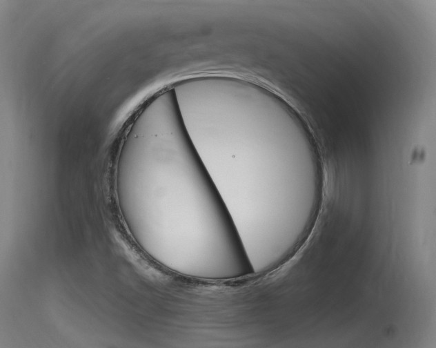 X0000115761502200911130948