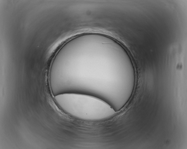 X0000115761503200911130948