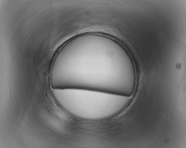X0000115761505200911130948
