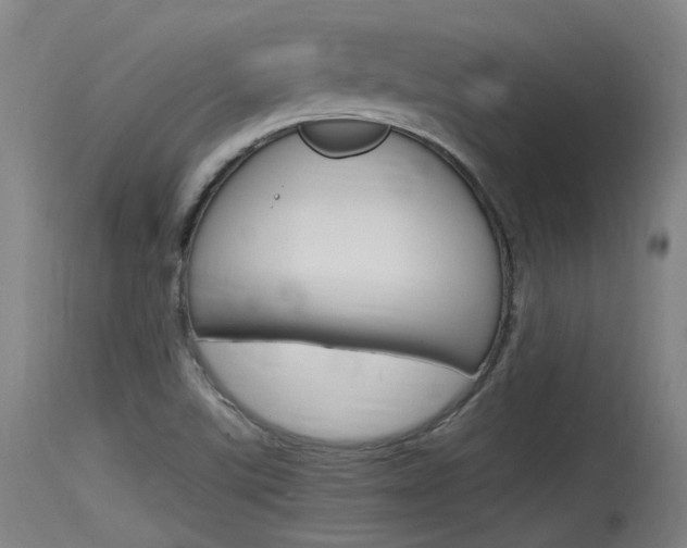 X0000115761507200911130948