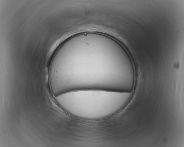 X0000115761509200911130948