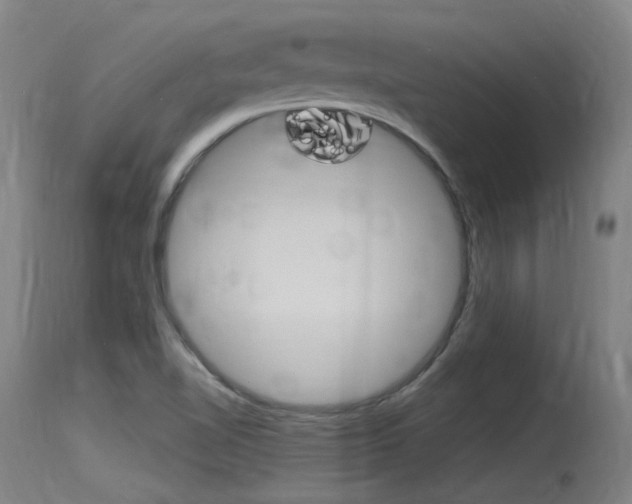 X0000115761510200911130948