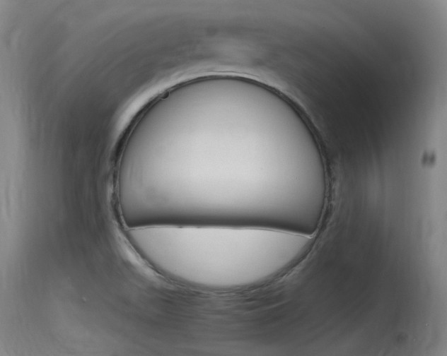 X0000115761511200911130948