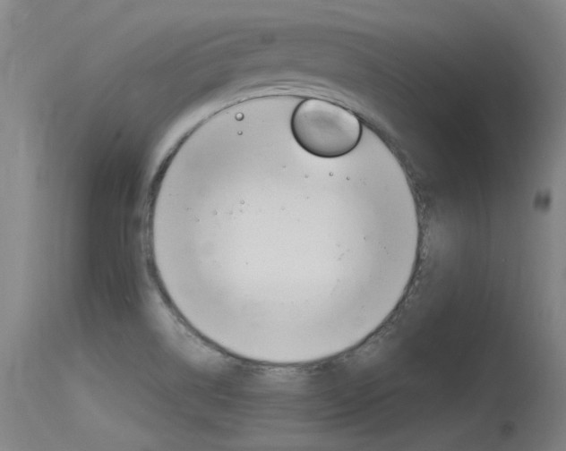 X0000115761514200911130948