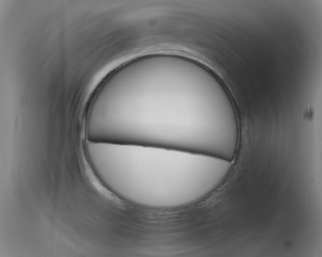 X0000115761515200911130948