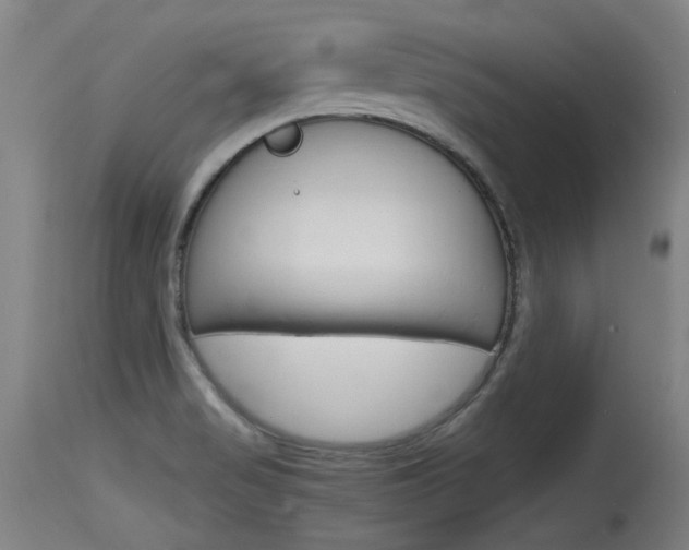 X0000115761517200911130948