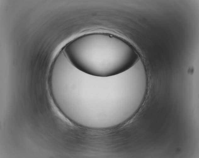 X0000115761518200911130948