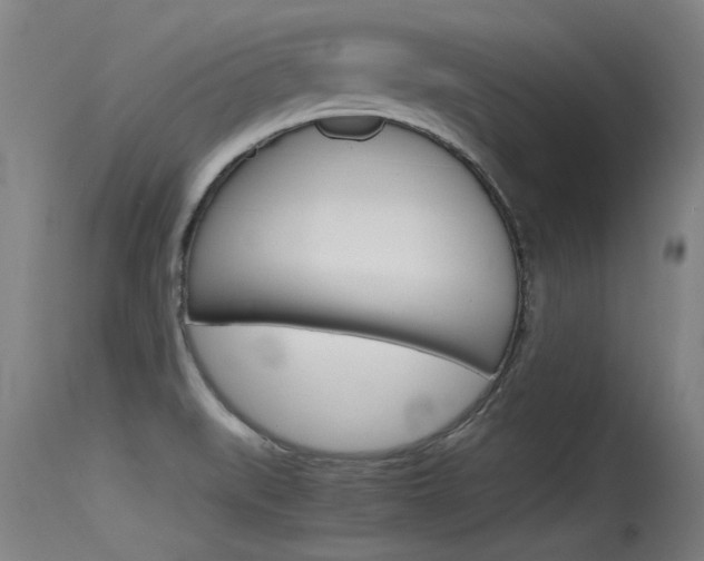 X0000115761519200911130948