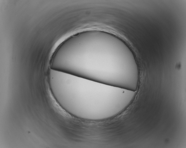 X0000115761522200911130948