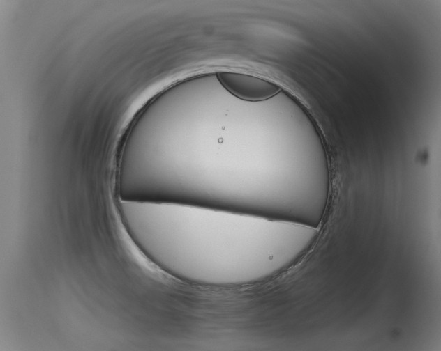 X0000115761523200911130948