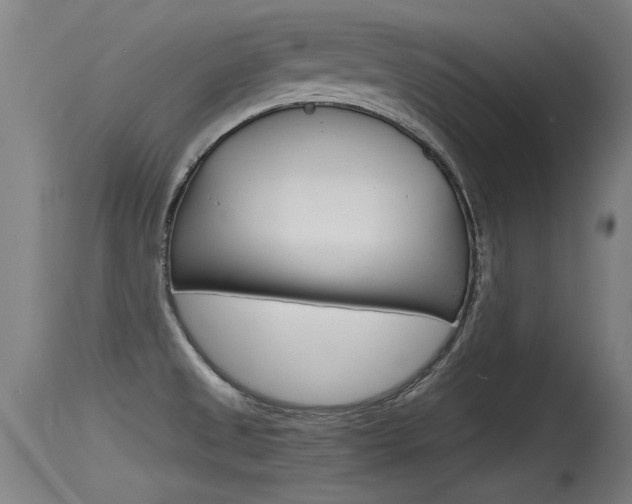X0000115761525200911130948