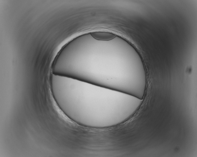 X0000115761526200911130948