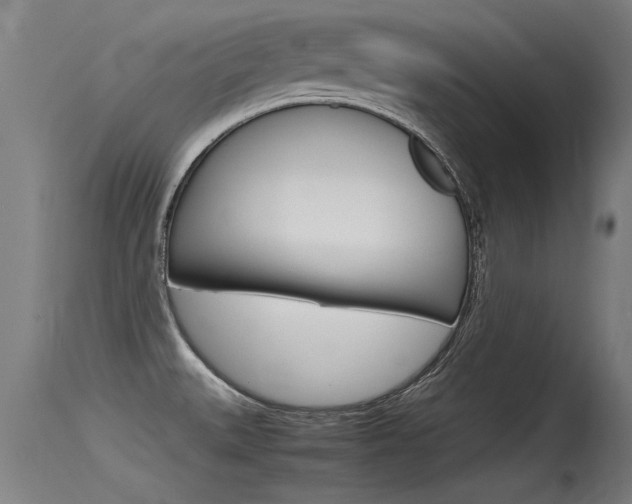 X0000115761527200911130948
