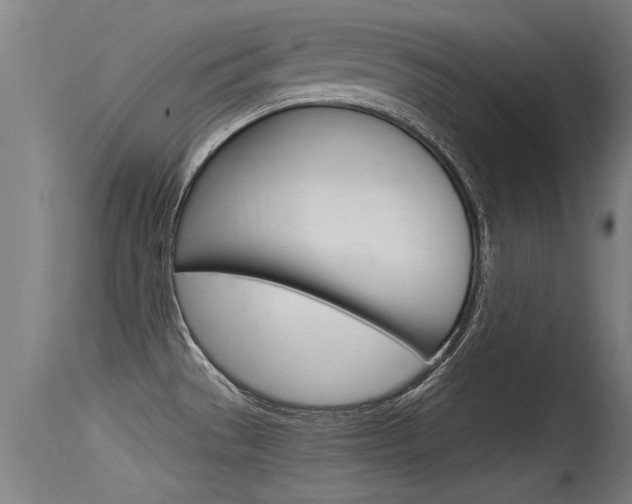 X0000115761529200911130948