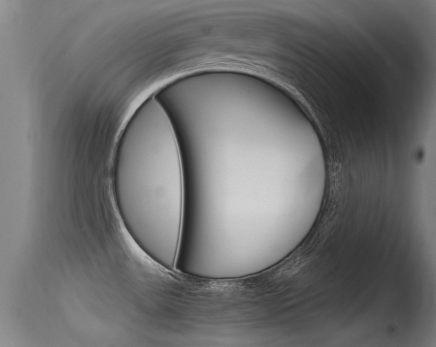 X0000115761531200911130948