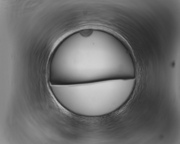 X0000115761533200911130948