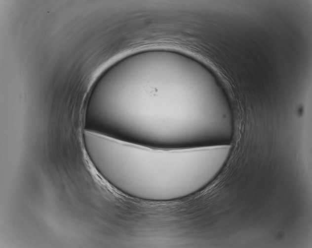 X0000115761534200911130948