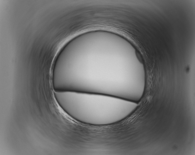 X0000115761535200911130948