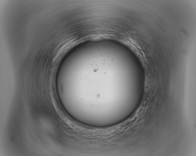 X0000115760001200911131206