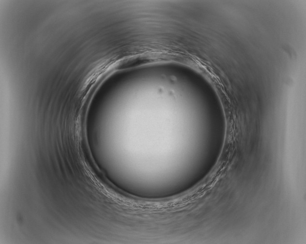 X0000115760002200911131206
