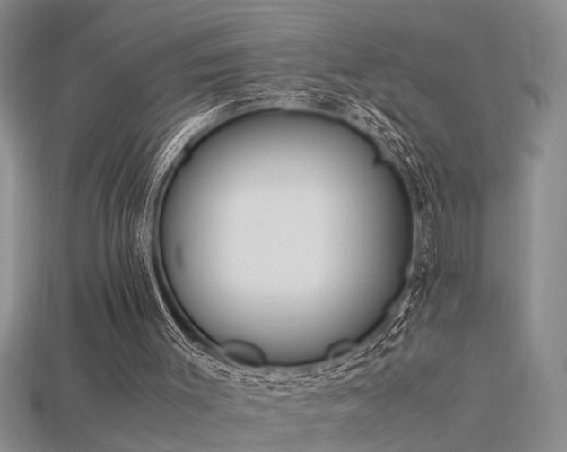 X0000115760003200911131206