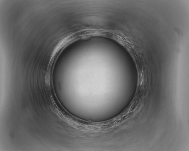 X0000115760004200911131206