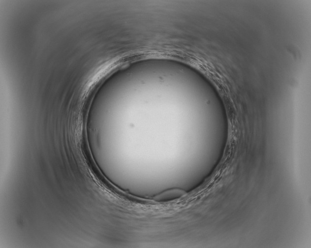 X0000115760005200911131206